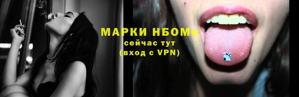 гашик Алексеевка