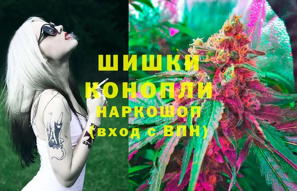 гашик Алексеевка