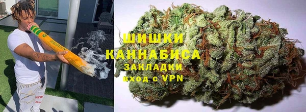 сатива Алзамай