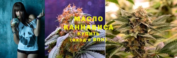 гашик Алексеевка