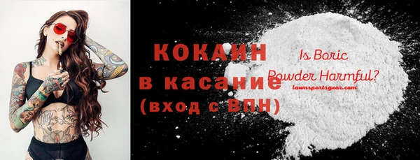 гашик Алексеевка